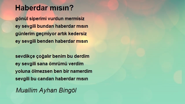 Muallim Ayhan Bingöl