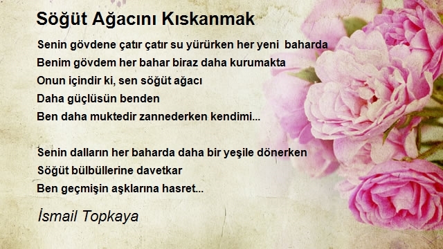 İsmail Topkaya