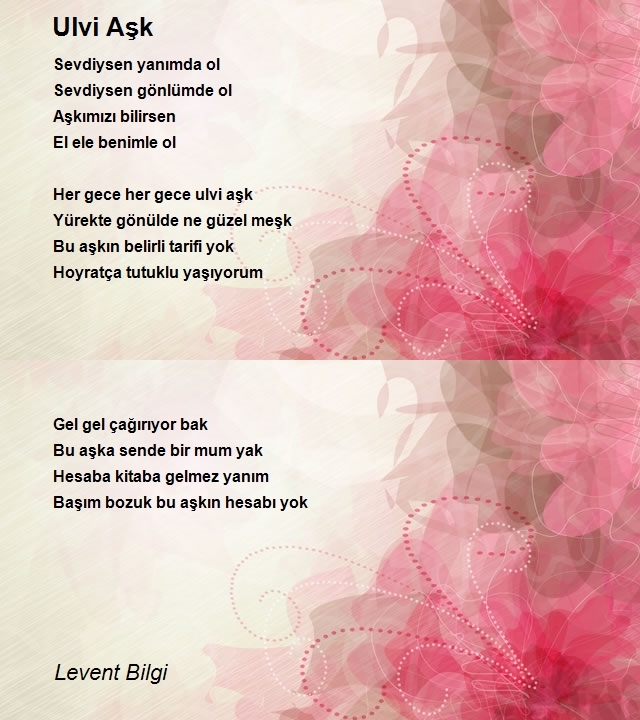 Levent Bilgi