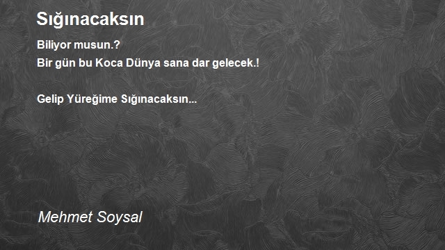 Mehmet Soysal