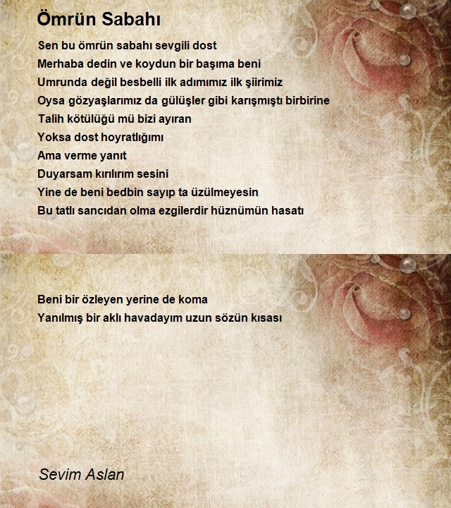 Sevim Aslan