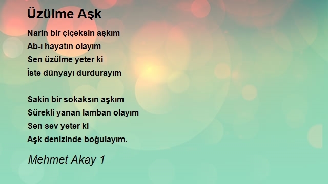 Mehmet Akay 1