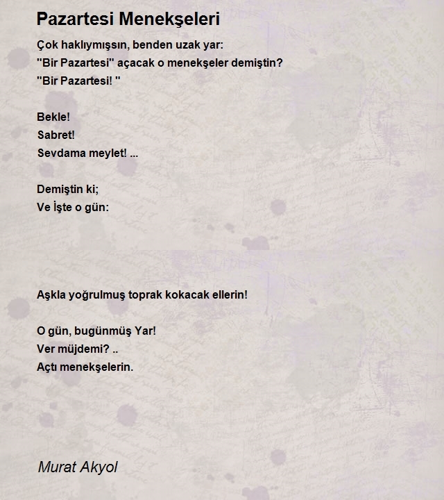 Murat Akyol