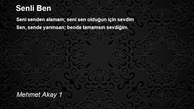 Mehmet Akay 1