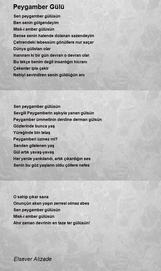 Elsever Beydemir