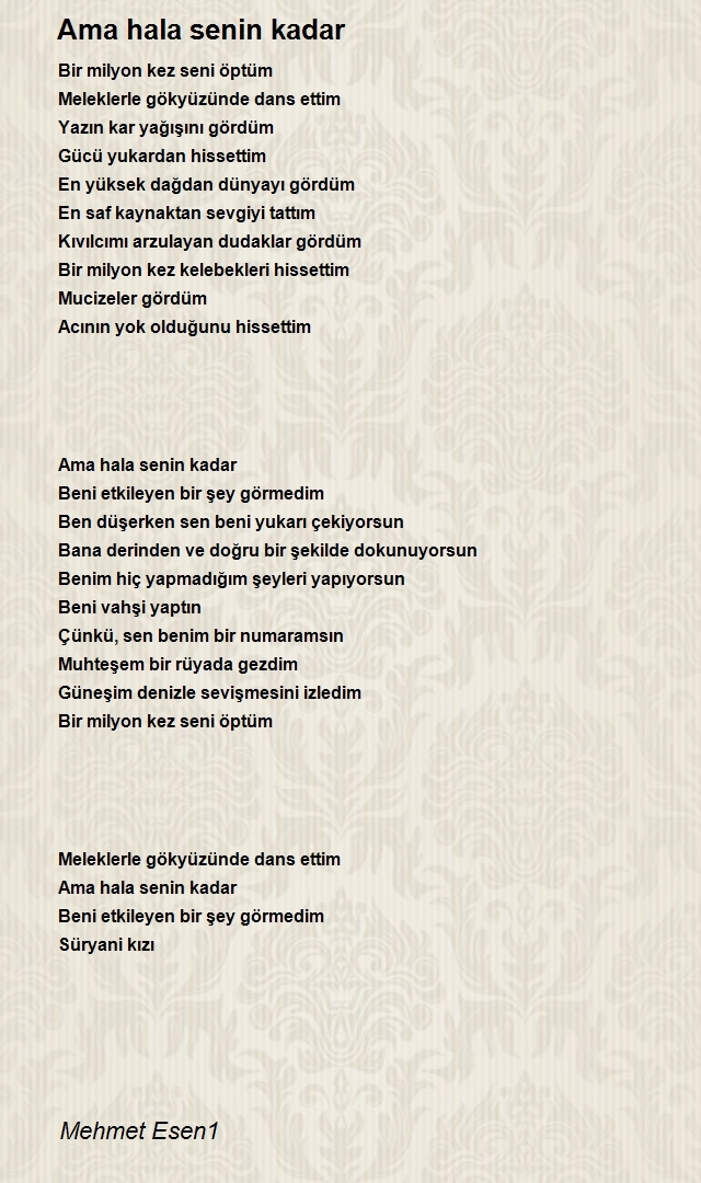 Mehmet Esen1