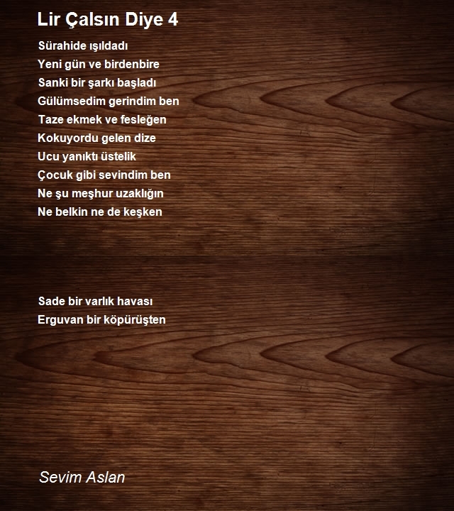 Sevim Aslan