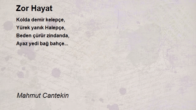 Mahmut Cantekin