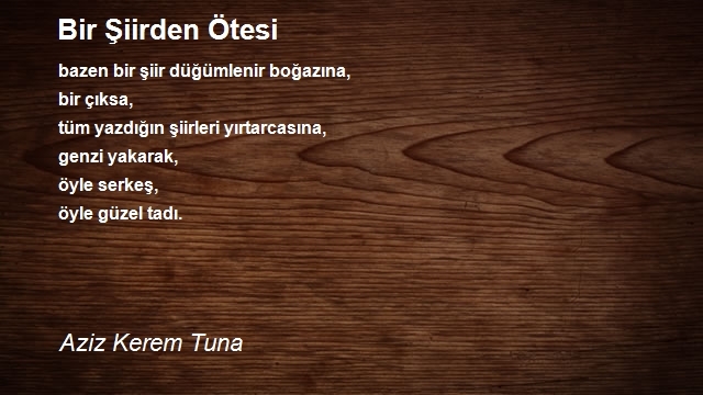 Aziz Kerem Tuna