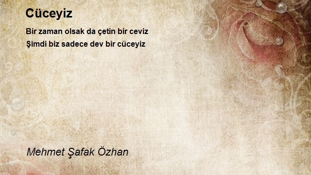 Mehmet Şafak Özhan