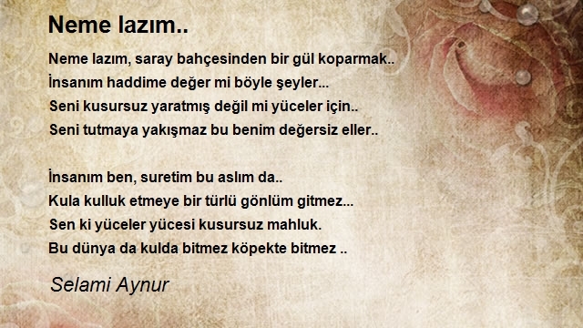 Selami Aynur