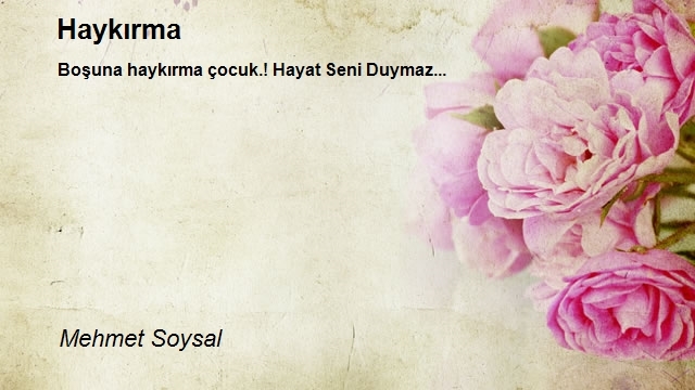 Mehmet Soysal