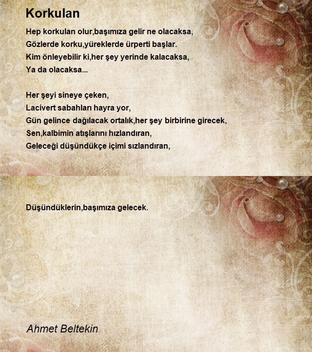 Ahmet Beltekin