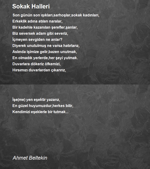 Ahmet Beltekin