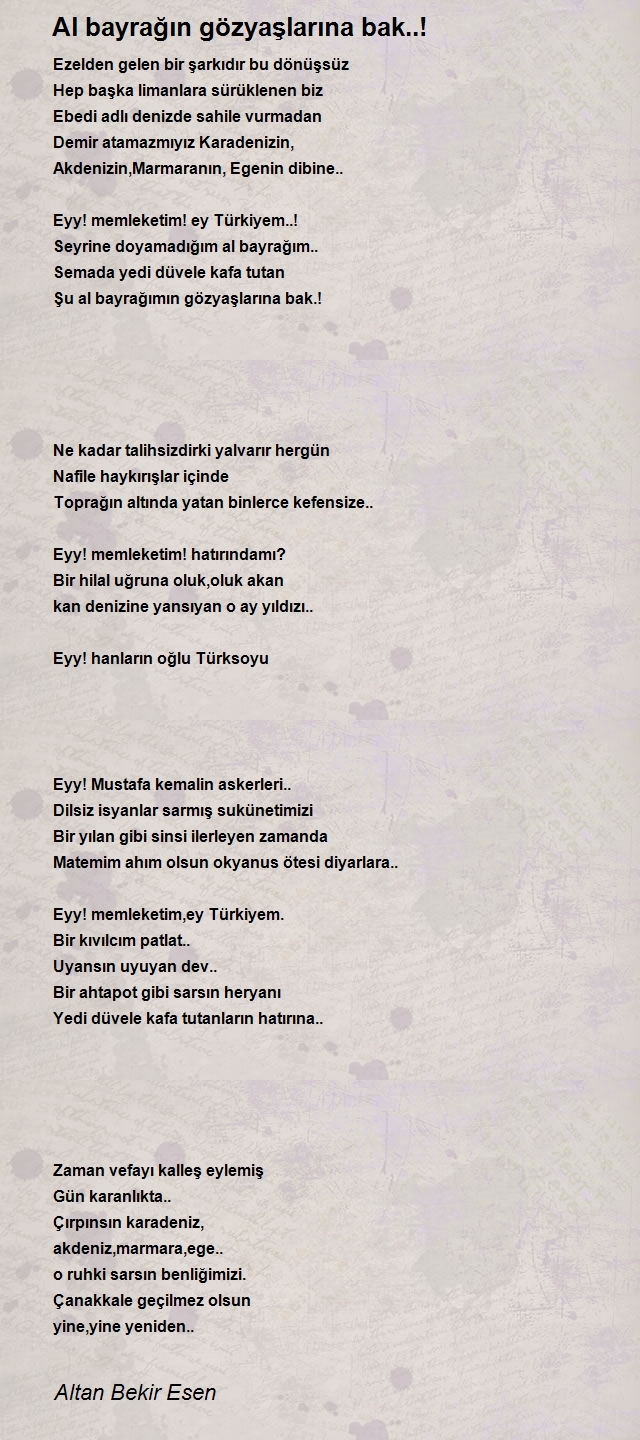 Altan Bekir Esen