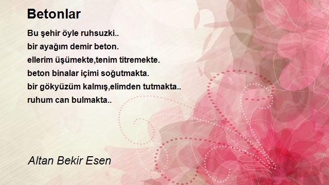 Altan Bekir Esen