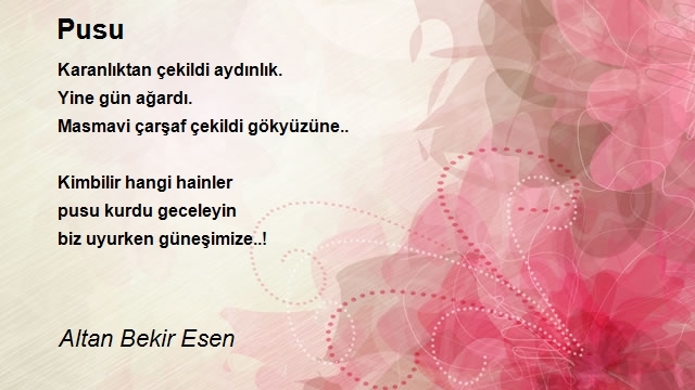 Altan Bekir Esen