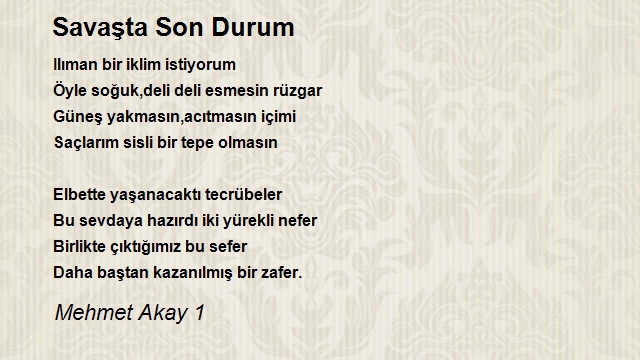 Mehmet Akay 1