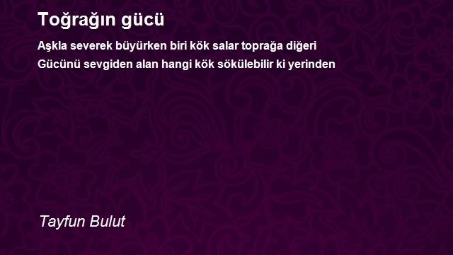 Tayfun Bulut