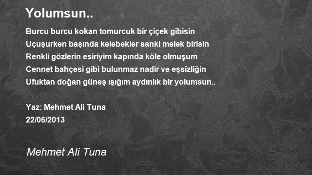 Mehmet Ali Tuna