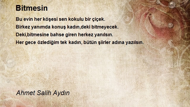 Ahmet Salih Aydın