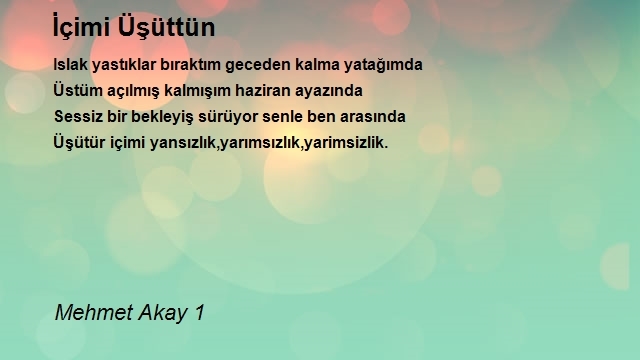 Mehmet Akay 1