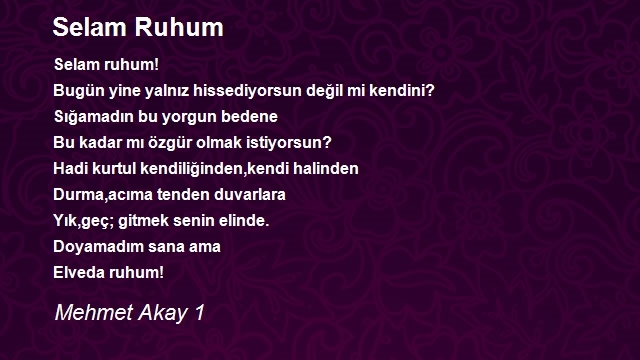 Mehmet Akay 1