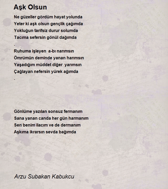 Arzu Subakan Kabukcu