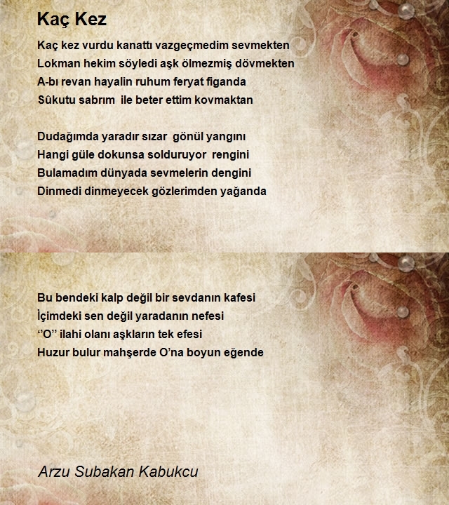 Arzu Subakan Kabukcu