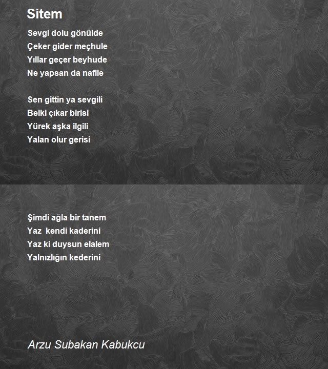 Arzu Subakan Kabukcu