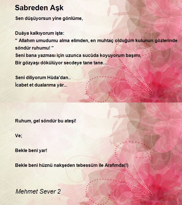 Mehmet Sever 2