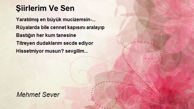 Mehmet Sever