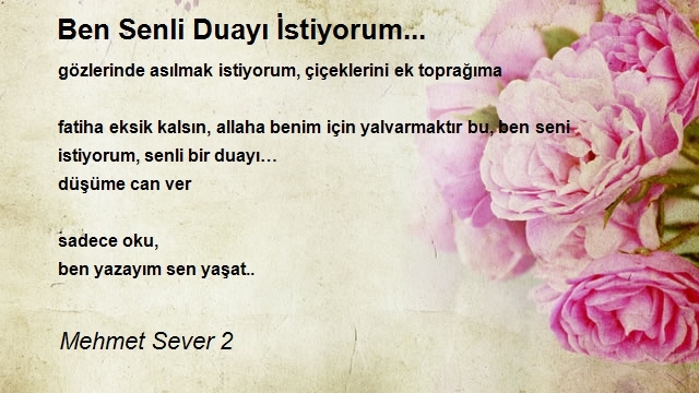 Mehmet Sever 2