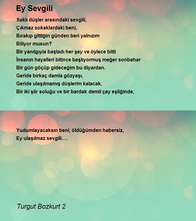 Turgut Bozkurt 2