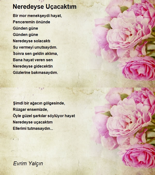 Evrim Yalçın