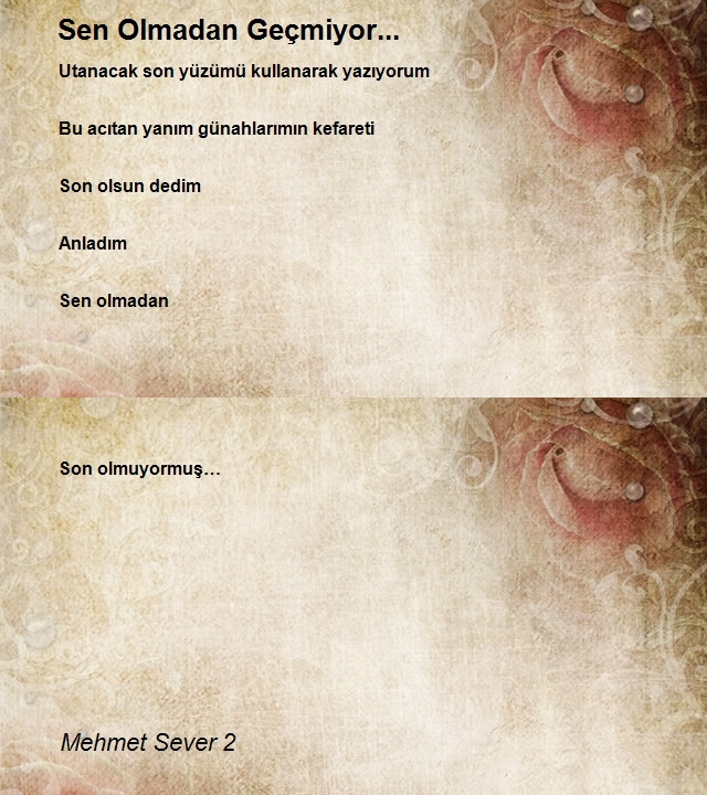 Mehmet Sever 2