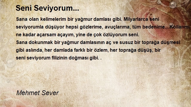 Mehmet Sever