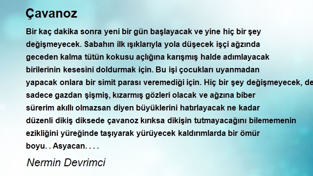 Nermin Devrimci