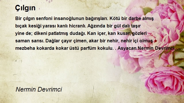 Nermin Devrimci