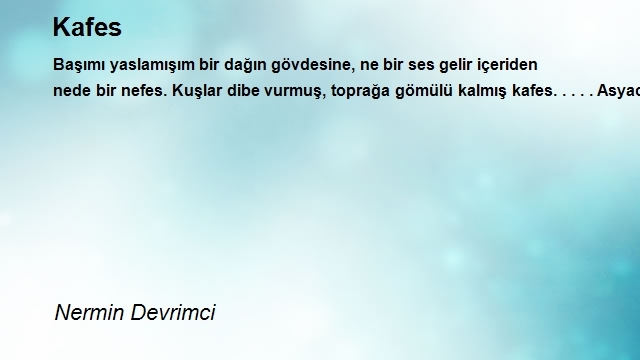 Nermin Devrimci