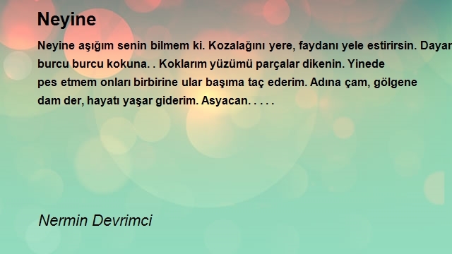 Nermin Devrimci