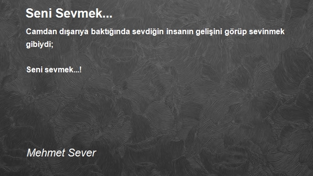 Mehmet Sever