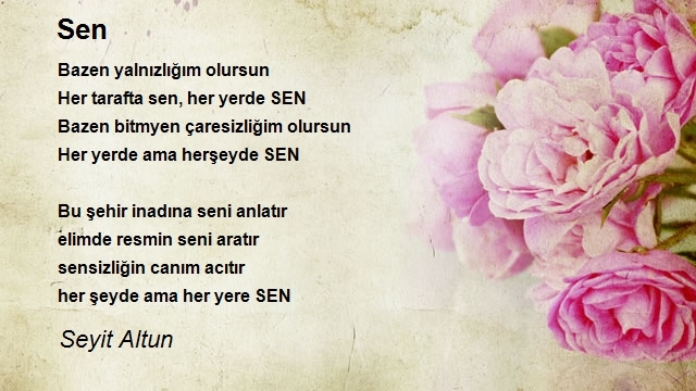 Seyit Altun