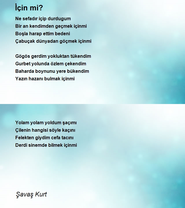 Şavaş Kurt