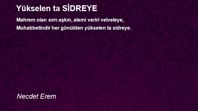 Necdet Erem