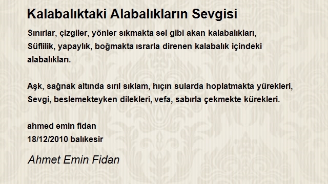 Ahmet Emin Fidan