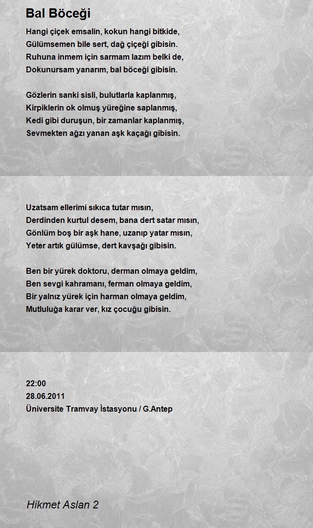 Hikmet Aslan 2