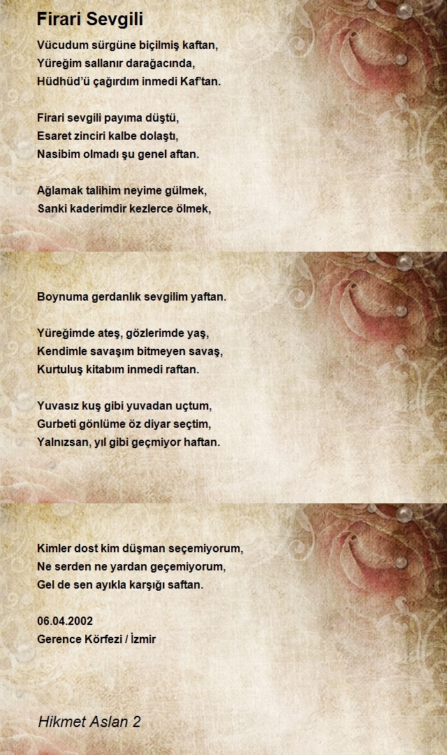 Hikmet Aslan 2