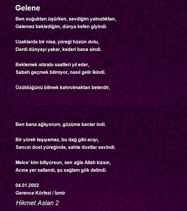 Hikmet Aslan 2