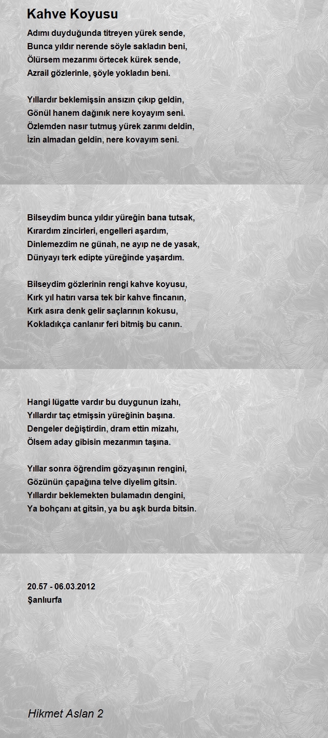 Hikmet Aslan 2